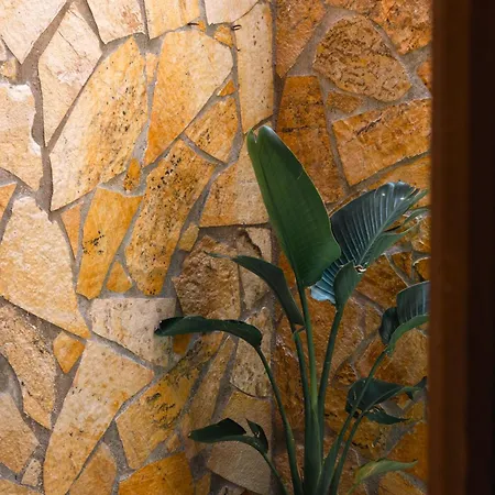 Apartment Artemis *